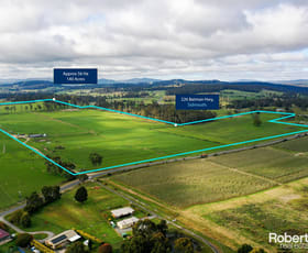 Rural / Farming commercial property for sale at 226 Batman Highway Sidmouth TAS 7270