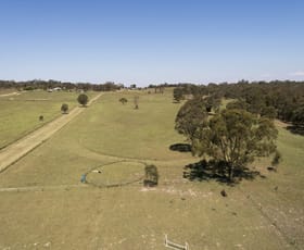 Rural / Farming commercial property sold at 590 Ridge Road Mudgee NSW 2850