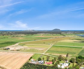 Rural / Farming commercial property for sale at 54-64 Dynes Road Valdora QLD 4561