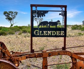 Rural / Farming commercial property for sale at 'Glendee' 246 Lemons Lane West Wyalong NSW 2671