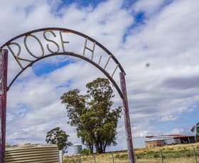 Rural / Farming commercial property for sale at 'Rosehill' 54 Rennies Lane West Wyalong NSW 2671