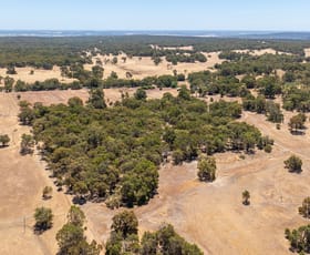 Rural / Farming commercial property sold at O'Brien Road Gidgegannup WA 6083