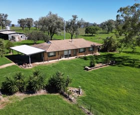 Rural / Farming commercial property for sale at Gunnedah NSW 2380