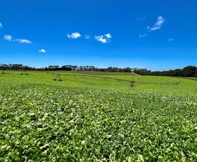 Rural / Farming commercial property sold at Great Ocean Road Mepunga West VIC 3277