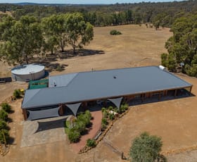 Rural / Farming commercial property sold at 10 Conostylis Way Coondle WA 6566
