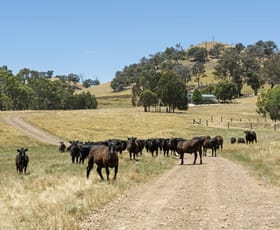 Rural / Farming commercial property sold at 929 Monkey Gully Road Goughs Bay VIC 3723