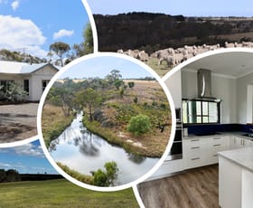 Rural / Farming commercial property for sale at 649 LONIES ROAD Shelford VIC 3329