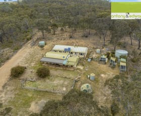 Rural / Farming commercial property for sale at 1439 Rugby Road Bevendale NSW 2581