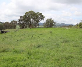 Rural / Farming commercial property sold at Lot 1 Kochs Road Tenterfield NSW 2372