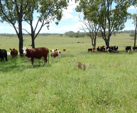 Rural / Farming commercial property for sale at 95 Monto Mount Perry Road Tellebang QLD 4630
