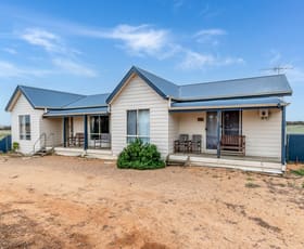 Rural / Farming commercial property for sale at 416 Bowhill Road Burdett SA 5253