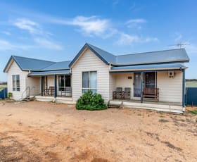 Rural / Farming commercial property sold at 416 Bowhill Road Burdett SA 5253