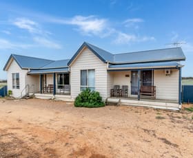 Rural / Farming commercial property sold at 416 Bowhill Road Burdett SA 5253