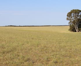 Rural / Farming commercial property sold at Lameroo SA 5302