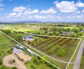 Rural / Farming commercial property sold at 92 Mines Road Mareeba QLD 4880