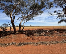 Rural / Farming commercial property sold at 106 Robinson Road Gutha WA 6623