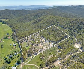 Rural / Farming commercial property for sale at 2904 Beaconsfield Road Wisemans Creek NSW 2795