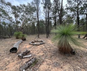 Rural / Farming commercial property sold at 672 Upper Humbug Road Tara QLD 4421