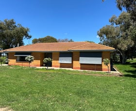 Rural / Farming commercial property for sale at 4475 Murray Valley Highway Gunbower VIC 3566