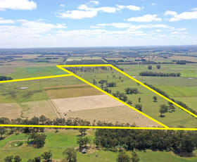 Rural / Farming commercial property sold at 165 Knights Road Bungador VIC 3260