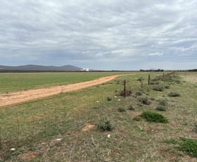 Rural / Farming commercial property for sale at 74 Humphries Road Darke Peak SA 5642