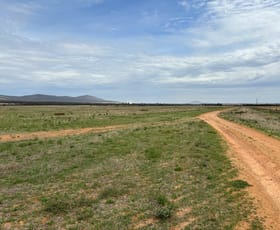 Rural / Farming commercial property for sale at 147 Kobelt Road Darke Peak SA 5642