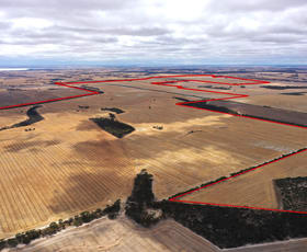 Rural / Farming commercial property sold at 305 Leo Road South Kukerin WA 6352