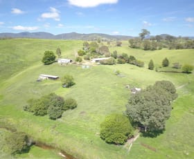 Rural / Farming commercial property for sale at 1834 Myrtle Mountain Road Candelo NSW 2550