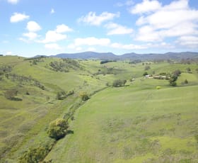 Rural / Farming commercial property for sale at 1834 Myrtle Mountain Road Candelo NSW 2550