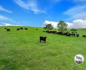 Rural / Farming commercial property for sale at 260 Backmede Road Kyogle NSW 2474
