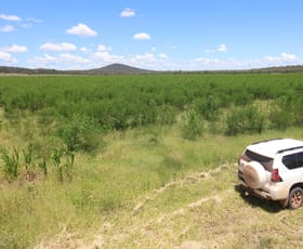 Rural / Farming commercial property for sale at Lot 55 & 79 Burnett Highway Eidsvold QLD 4627