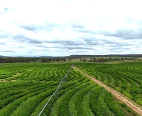 Rural / Farming commercial property for sale at Lot 55 & 79 Burnett Highway Eidsvold QLD 4627