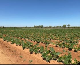Rural / Farming commercial property sold at 259 McGlades Road North Plantations WA 6701