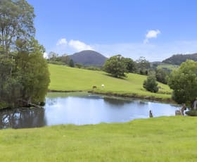 Rural / Farming commercial property for sale at 32 Kelly's road Eungella NSW 2484