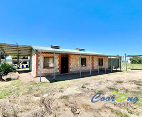 Rural / Farming commercial property for sale at 409 Bowhill Road Burdett SA 5253