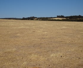 Rural / Farming commercial property sold at Lot 6879 Great Southern Highway Yornaning WA 6311