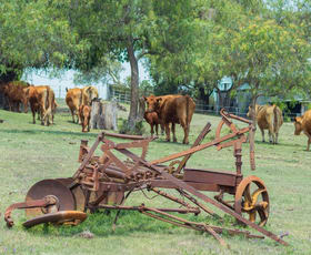 Rural / Farming commercial property sold at 246 Mcmasters Road Upper Freestone QLD 4370