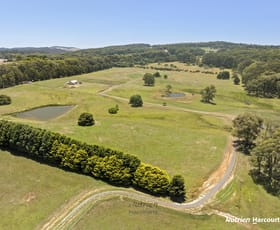 Rural / Farming commercial property for sale at 1193 Upper Boho Road Boho South VIC 3669