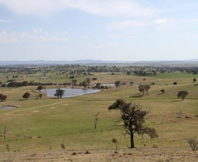 Rural / Farming commercial property for sale at 1/83 Yass Valley Way Manton NSW 2582