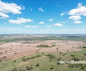 Rural / Farming commercial property for sale at Gragin Boundary Road Delungra NSW 2403