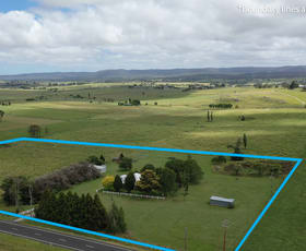 Rural / Farming commercial property sold at 12436 Bruxner Highway Tenterfield NSW 2372