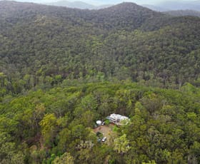 Rural / Farming commercial property for sale at 780 Milsons Arm Road Wollombi NSW 2325
