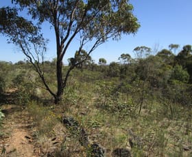 Rural / Farming commercial property sold at 0 Jung Yet Road St Arnaud VIC 3478