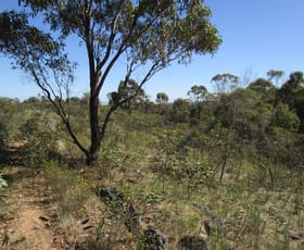 Rural / Farming commercial property for sale at 0 Jung Yet Road St Arnaud VIC 3478