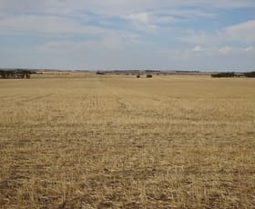 Rural / Farming commercial property for sale at Treloars Road North Kukerin WA 6352