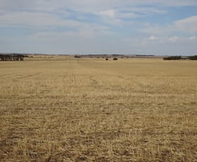 Rural / Farming commercial property sold at Treloars Road North Kukerin WA 6352