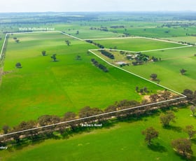 Rural / Farming commercial property sold at 'Part Sunrise'/375 Walla Walbundrie Road Walla Walla NSW 2659