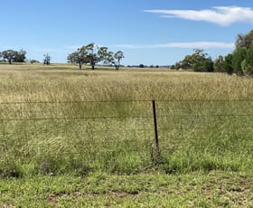 Rural / Farming commercial property for sale at 8308 The Bogan Way Trundle NSW 2875