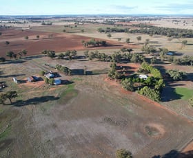 Rural / Farming commercial property sold at "Hermies", 593 Yarrangong Road Forbes NSW 2871