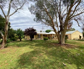 Rural / Farming commercial property for sale at 189 Hicks Road Echuca Village VIC 3564
